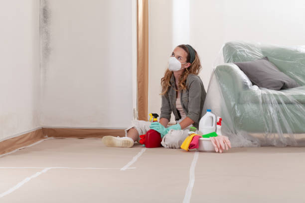 Reliable Crawl Space Mold Removal contractor in Sammamish, WA by WQB Mold Removal